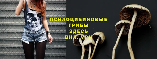 МДПВ Алексеевка