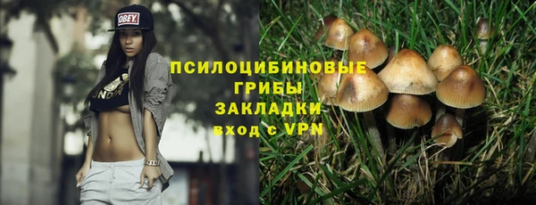 МДПВ Алексеевка