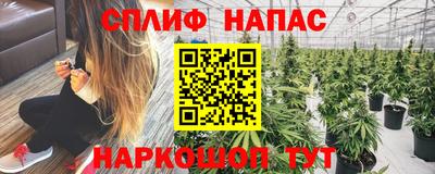 гидропоника Канаш