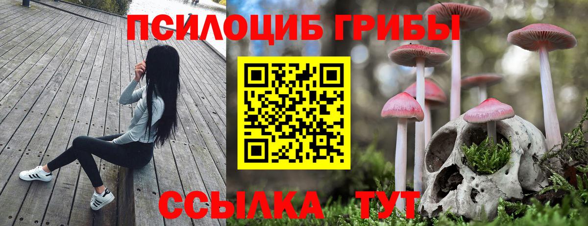 Галлюциногенные грибы MAGIC MUSHROOMS  Вход с VPN  Псилоцибиновые грибы ЛСД  Кудрово 