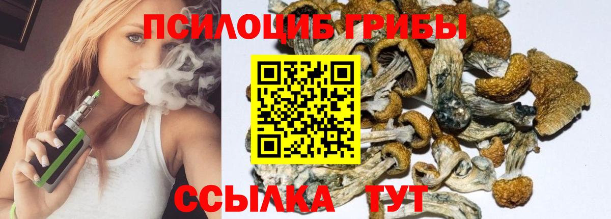 Псилоцибиновые грибы Cubensis Кудрово
